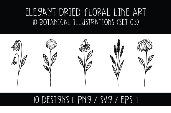 Download Elegant Dried Floral Line Art (Set 03) - Line Collection