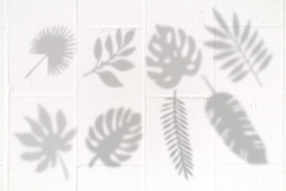 Download Leaf Shadows Procreate Brushes - Procreate brush Collection