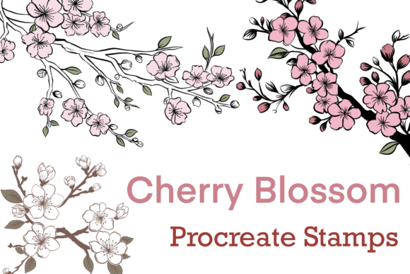 Download Cherry Blossom Procreate Brush Stamps - Procreate brush Collection