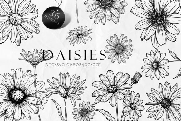 Download Daisy Line Art Drawing SVG - Line Collection