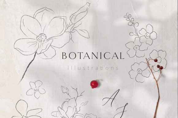 Download Line Drawing Botanicals, Plants. Brushes - Line Collection